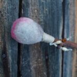 Rumpukapula - luonnonpuuta ja villaa 2601 - Image 4