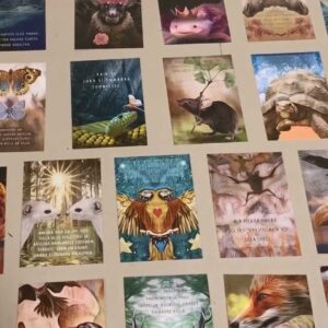 Kesytön Viisaus Voimaeläinkortit