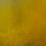 Shamaanirumpu Kaunokainen 2074 - Image 5