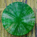 Shamaanirumpu Vihreä Loiste 2303