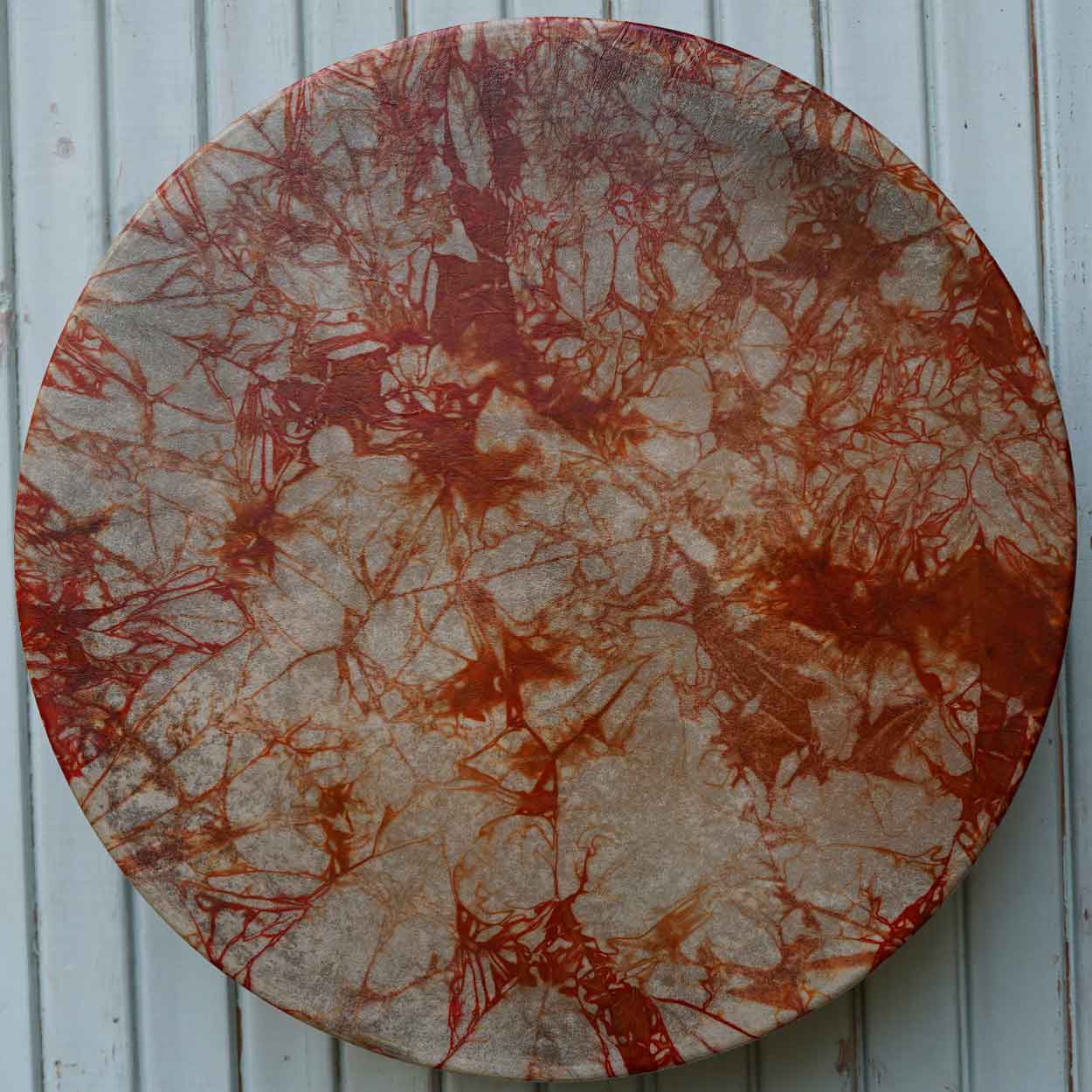 playing-drum-2304-1 Shaman Drum Pelargonia 2304 - Image 1