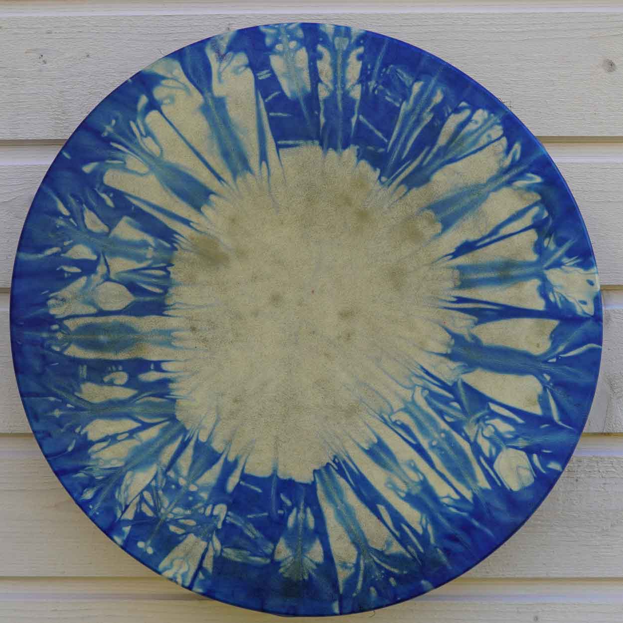 voimarumpu-valorumpu-2325-1 Shamaanirumpu Syöksylaskija 2325 - Image 1