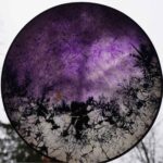 Shamaanirumpu Varjojen laulu 2399 - Image 2