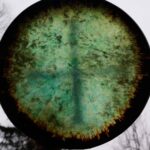 Shamaanirumpu Metsän henkäys 2496 - säädettävä L-rumpu - Image 3