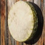 Shaman Drum Blanco 1879 - Image 2