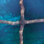 Shaman Drum Jungle 2426 - Image 6