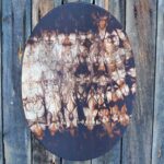 Shamaanirumpu Omituiset otukset 2419