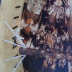 Shamaanirumpu Omituiset otukset 2419 - Image 8