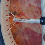 Shamaanirumpu Siriuksen laulu 2182 - Image 7