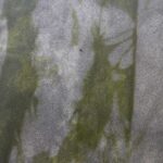 Shamaanirumpu Heinä 1884 - Image 4