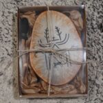 Seita - Koristerumpu - Image 7