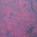 Shaman Drum Thought 2394 - Image 4