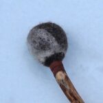 Rumpukapula - luonnonpuuta ja villaa 2607 - Image 3