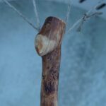 Shaman Drum Blanco 2423 - Image 4