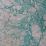 Shaman Drum Milli 2436 - Image 4