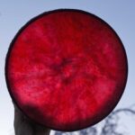 Shaman Drum Strength 2432 - Image 3