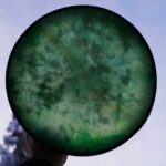 Shamaanirumpu Viherpeippo 2438 - Image 3