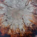 Shamaanirumpu Kosketus 2446 - Image 5