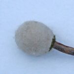 Rumpukapula - luonnonpuuta ja villaa 2603 - Image 5