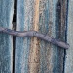 Rumpukapula - luonnonpuuta ja villaa 2610 - Image 5