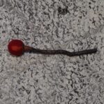 Rumpukapula - luonnonpuuta ja villaa 2610 - Image 2