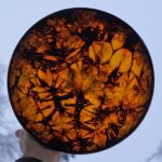 Shamaanirumpu Kaiku 2443 - Image 3