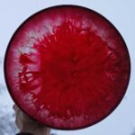 Shaman Drum Raspberry 2447 - Image 3