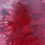 Shaman Drum Raspberry 2447 - Image 4