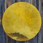 Shamaanirumpu Keltasiipi 2468