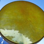 Shamaanirumpu Keltasiipi 2468 - Image 3