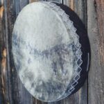 Shamaanirumpu Häive 2470 - Image 3