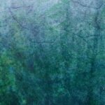 Shaman Drum Soile 2129 - Image 4