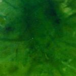 Vihreä 157 - Pulveripetsi Clou nahan värjäykseen