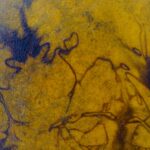 Shamaanirumpu Myyrän polku 2430 - Image 4