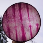 Shaman Drum Kanervapelto 2518 - Image 4