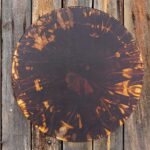 Shamaanirumpu Kaari 2521