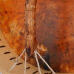 Shamaanirumpu Kaari 2521 - Image 8