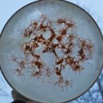 Shamaanirumpu SuperNova 2410 - Image 2