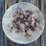 Shamaanirumpu SuperNova 2410