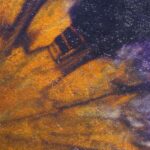 Shaman Drum Uranus 2555 - Image 4