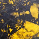 Shaman Drum Flora 2566 - Image 4