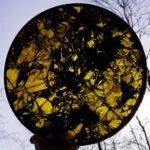 Shaman Drum Flora 2566 - Image 2