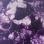 Shamaanirumpu Pohjolan portti 2551 - Image 4