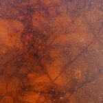 Shaman Drum Kultapunos 2550 - Image 4