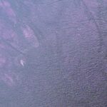 Shamaanirumpu Alisen portti 2547 - Image 4