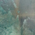 Shamaanirumpu Haltija 1869 - Image 4