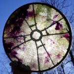 Shaman Drum Soili 2557 - Image 2