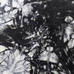 Shaman Drum Nikula 2571 - Image 4