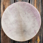 Shaman Drum Kaunotar 2580