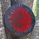 Shaman Drum Kali 2656